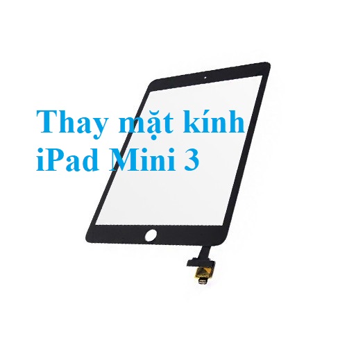 Thay Mat Kinh Cam Ung Ipad Mini 3 Gia Re Bien Hoa